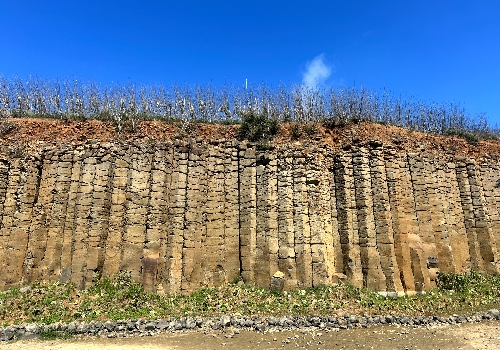 大菓葉柱狀玄武岩