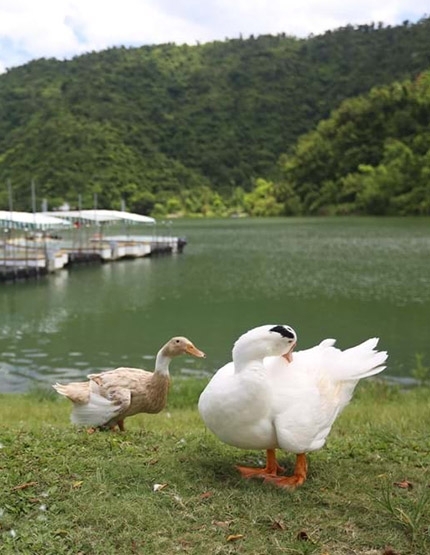 鈦美旅行社-露營車漫遊-公路旅行之特別企劃二日遊