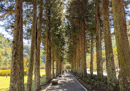 DAY 2 早午餐→自由活動→桃山瀑布步道 或 南谷園區行程 (建議 迎賓橋→賞鳥步道→松林大道→蔣公行館→武陵茶莊)→礁溪溫泉公園→宜蘭市區晚餐(自理) →返程